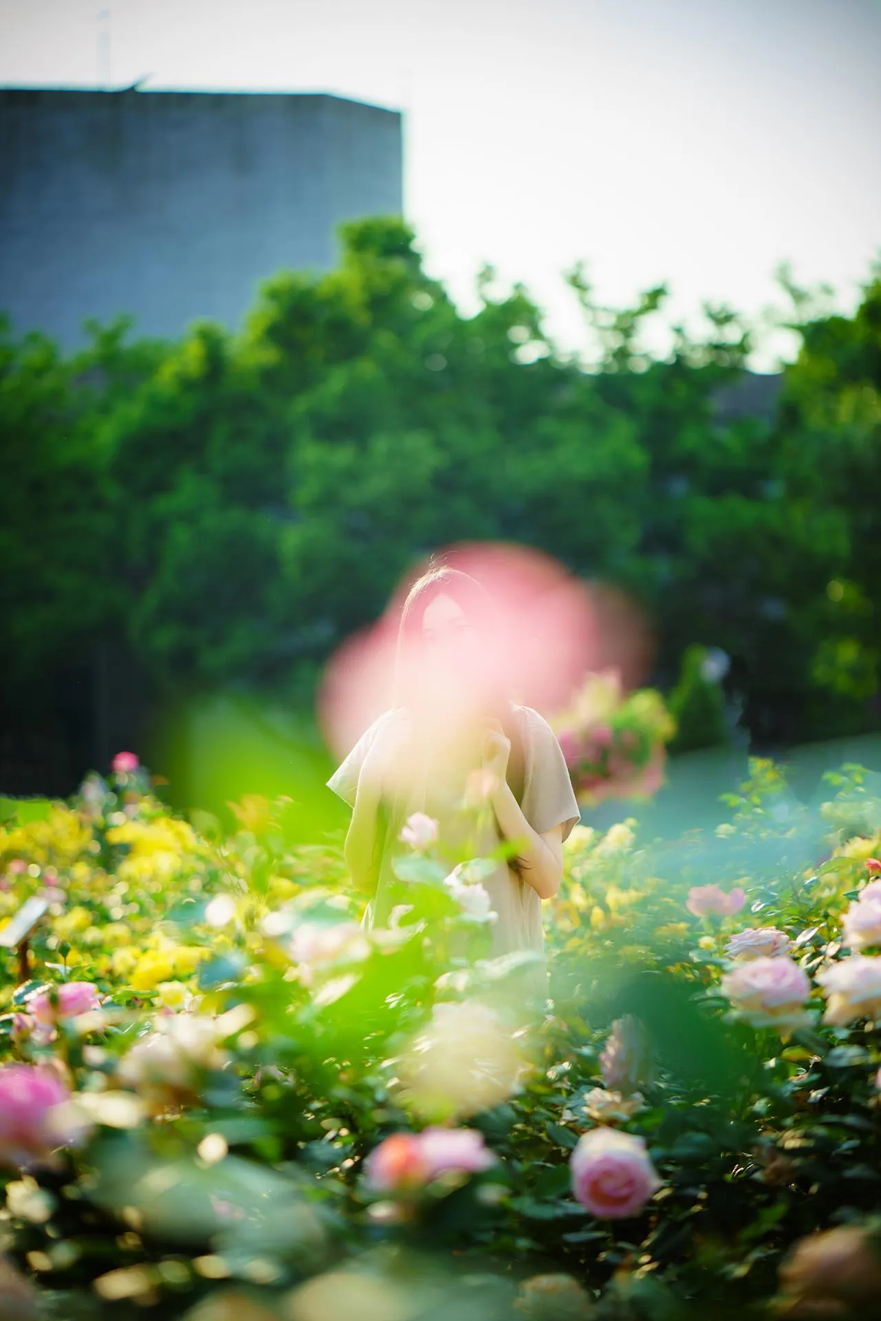 Bambi밤비 – NO.106 Lacerta Photography [50P]插图
